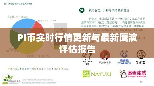 PI币实时行情更新与最新鹰演评估报告