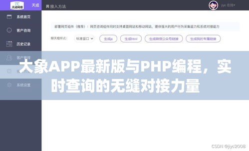大象APP最新版与PHP编程，实时查询的无缝对接力量