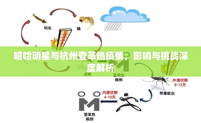 嘻哈明星与杭州登革热疫情,影响与挑战深度解析