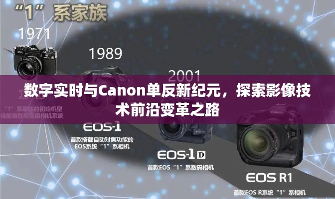 数字实时与Canon单反新纪元,探索影像技术前沿变革之路
