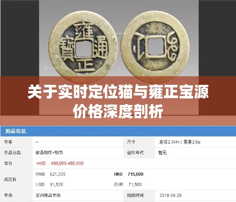关于实时定位猫与雍正宝源价格深度剖析