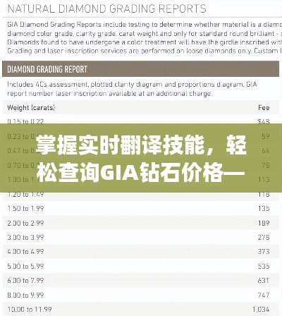 掌握实时翻译技能,轻松查询GIA钻石价格——珠宝购物国际指南
