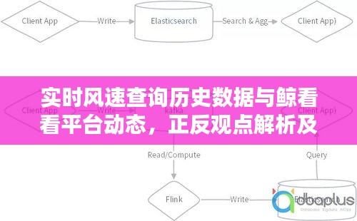 实时风速查询历史数据与鲸看看平台动态,正反观点解析及平衡考量