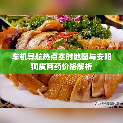 车机导航热点实时地图与安阳狗皮膏药价格解析