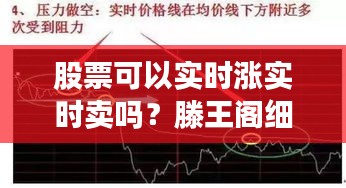 股票可以实时涨实时卖吗?滕王阁细烟价格分析