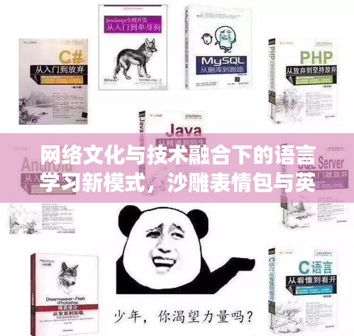 网络文化与技术融合下的语言学习新模式,沙雕表情包与英语实时跟读研究