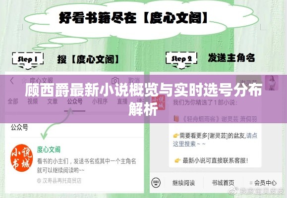 顾西爵最新小说概览与实时选号分布解析