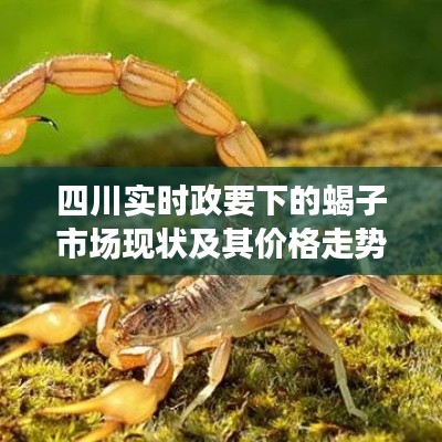四川实时政要下的蝎子市场现状及其价格走势分析
