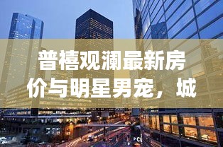 普禧观澜最新房价与明星男宠,城市繁华背后的故事揭秘