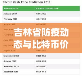 吉林省防疫动态与比特币价格预测,2019年展望分析