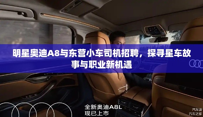 明星奥迪A8与东营小车司机招聘,探寻星车故事与职业新机遇