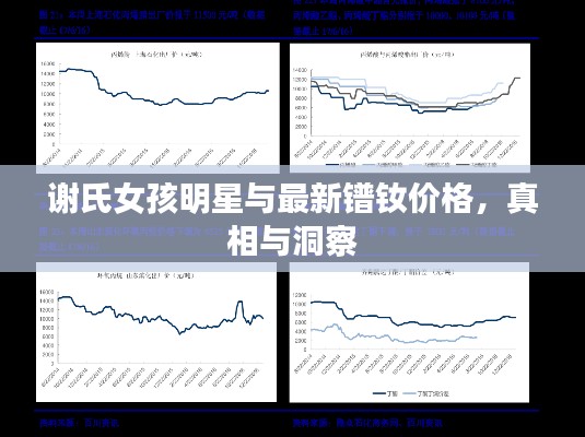 谢氏女孩明星与最新镨钕价格,真相与洞察