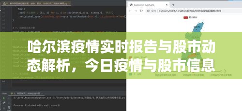 哈尔滨疫情实时报告与股市动态解析,今日疫情与股市信息一览