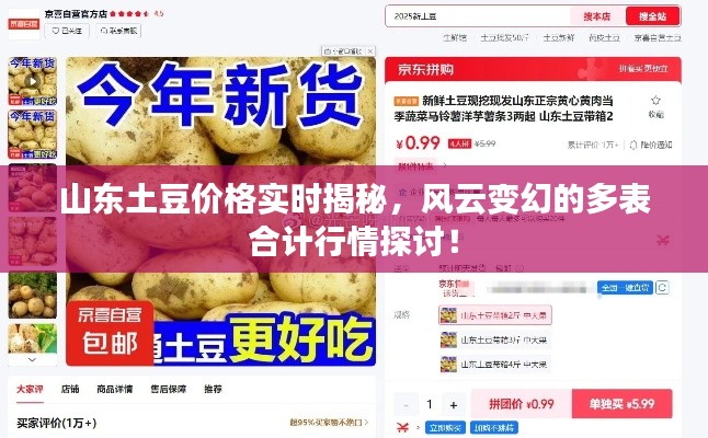 山东土豆价格实时揭秘,风云变幻的多表合计行情探讨!
