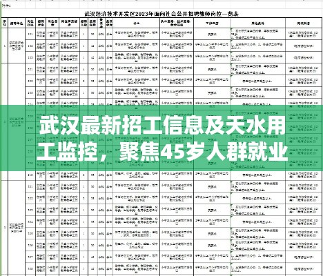 武汉最新招工信息及天水用工监控,聚焦45岁人群就业机会