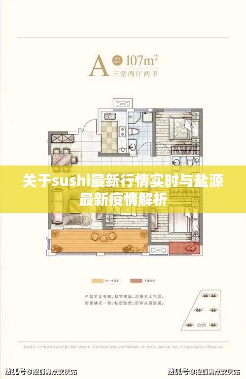 关于sushi最新行情实时与盐源最新疫情解析
