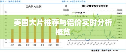 美国大片推荐与铝价实时分析概览
