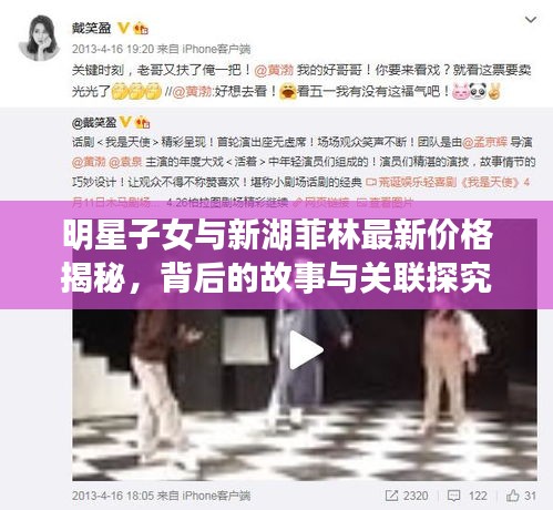 明星子女与新湖菲林最新价格揭秘,背后的故事与关联探究