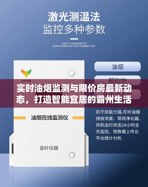 实时油烟监测与限价房最新动态,打造智能宜居的霸州生活