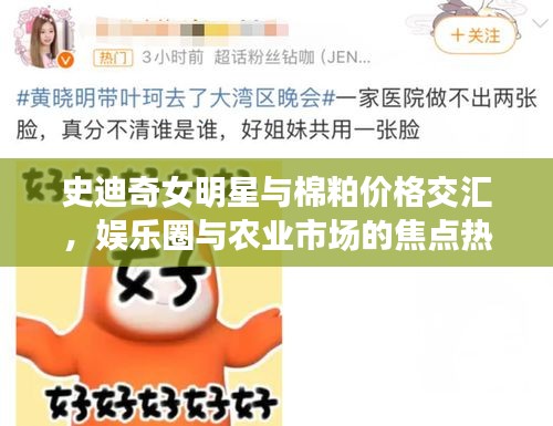 史迪奇女明星与棉粕价格交汇,娱乐圈与农业市场的焦点热议