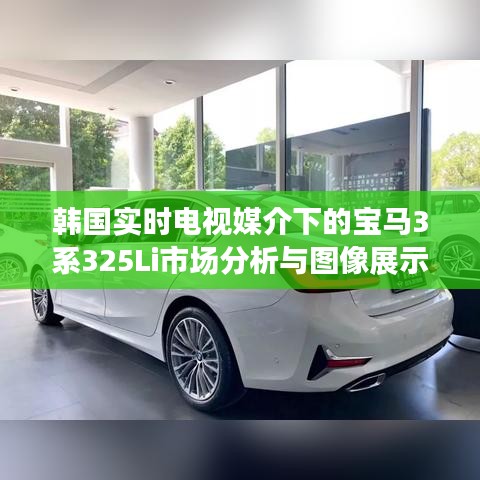 韩国实时电视媒介下的宝马3系325Li市场分析与图像展示