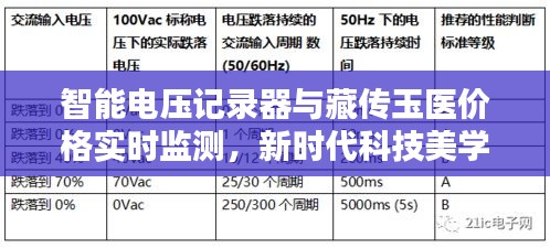 智能电压记录器与藏传玉医价格实时监测,新时代科技美学的优选