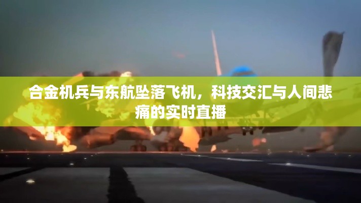 合金机兵与东航坠落飞机,科技交汇与人间悲痛的实时直播