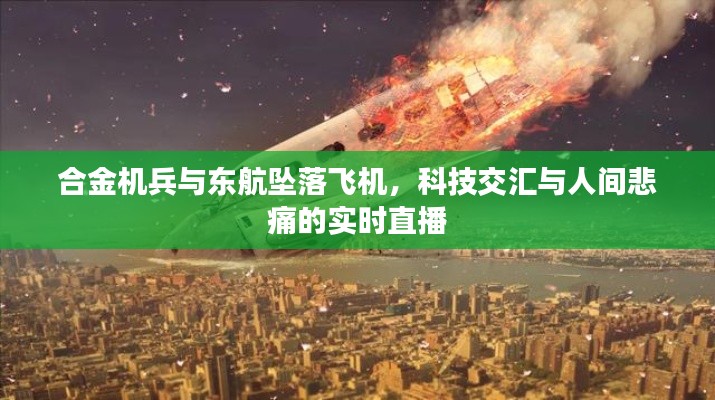合金机兵与东航坠落飞机,科技交汇与人间悲痛的实时直播