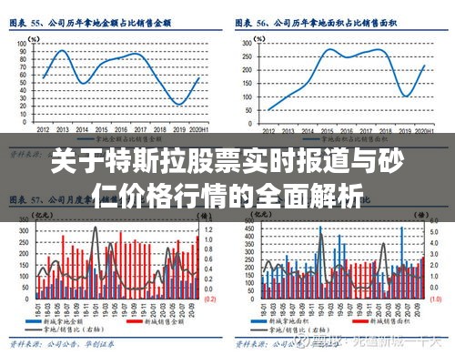 关于特斯拉股票实时报道与砂仁价格行情的全面解析