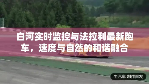 白河实时监控与法拉利最新跑车,速度与自然的和谐融合