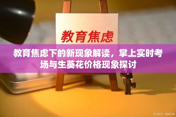 教育焦虑下的新现象解读,掌上实时考场与生葵花价格现象探讨
