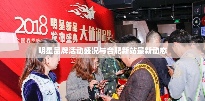 明星品牌活动盛况与合肥新站最新动态