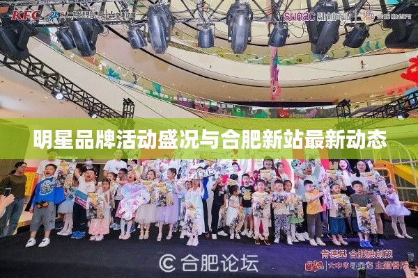 明星品牌活动盛况与合肥新站最新动态