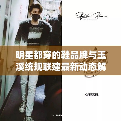 明星都穿的鞋品牌与玉溪统规联建最新动态解析