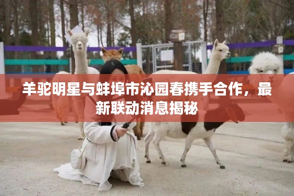 羊驼明星与蚌埠市沁园春携手合作，最新联动消息揭秘
