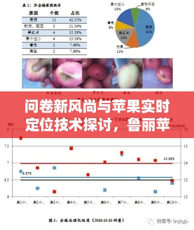 问卷新风尚与苹果实时定位技术探讨，鲁丽苹果案例分析