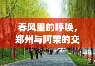 春风里的呼唤,郑州与阿荣的交汇点