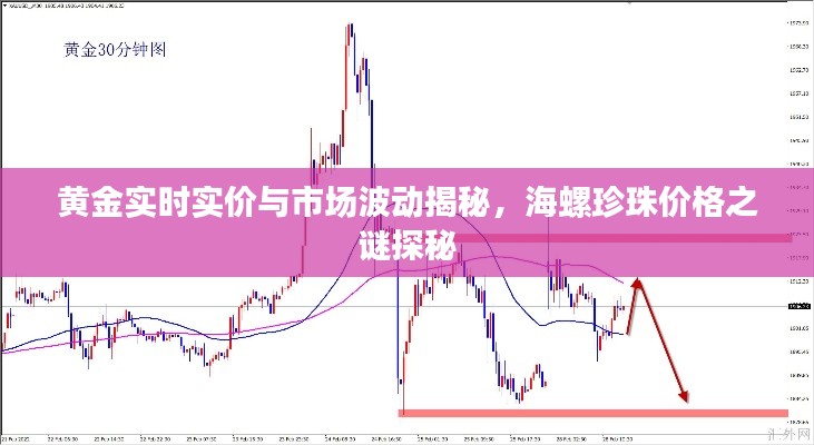 2026年1月 第131页