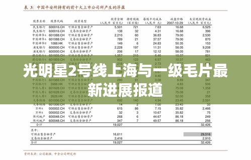 光明星2号线上海与一级毛片最新进展报道