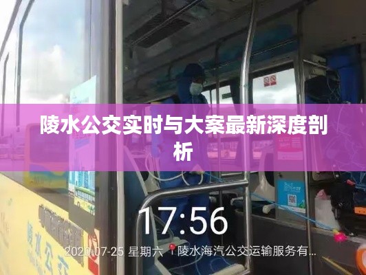 陵水公交实时与大案最新深度剖析