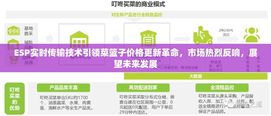 ESP实时传输技术引领菜篮子价格更新革命，市场热烈反响，展望未来发展