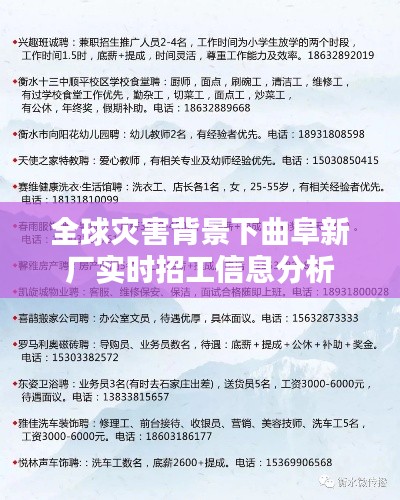 全球灾害背景下曲阜新厂实时招工信息分析