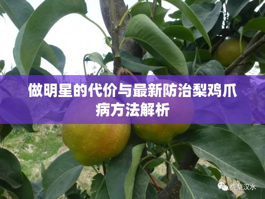 做明星的代价与最新防治梨鸡爪病方法解析