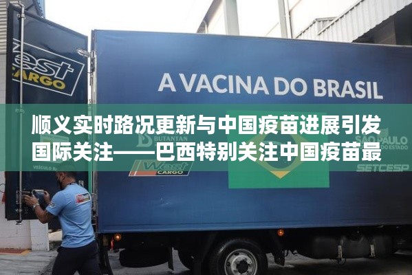 顺义实时路况更新与中国疫苗进展引发国际关注——巴西特别关注中国疫苗最新动态