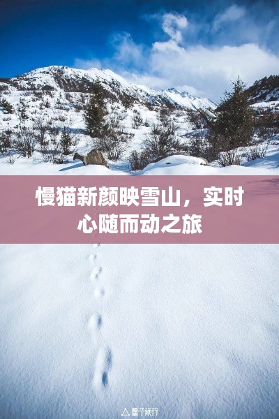 慢猫新颜映雪山，实时心随而动之旅