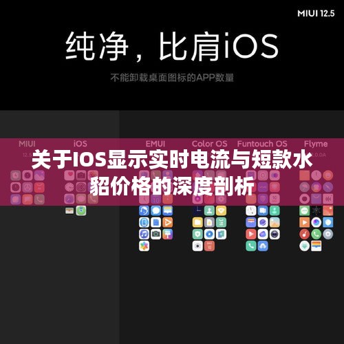 关于IOS显示实时电流与短款水貂价格的深度剖析