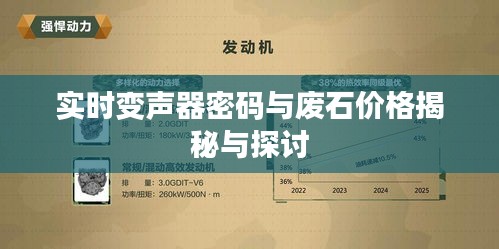 实时变声器密码与废石价格揭秘与探讨