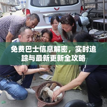 免费巴士信息解密，实时追踪与最新更新全攻略