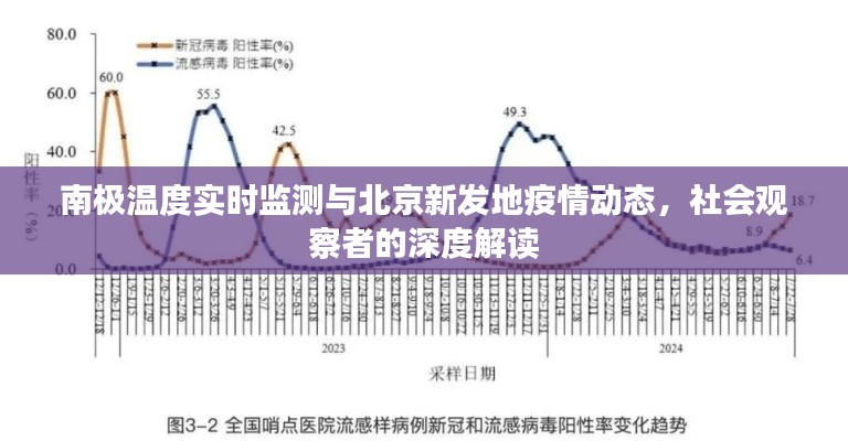 南极温度实时监测与北京新发地疫情动态，社会观察者的深度解读