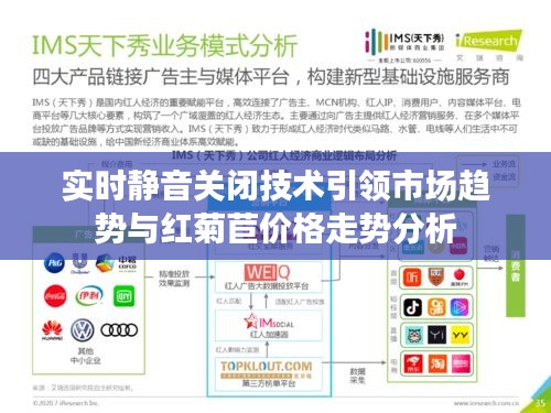 实时静音关闭技术引领市场趋势与红菊苣价格走势分析